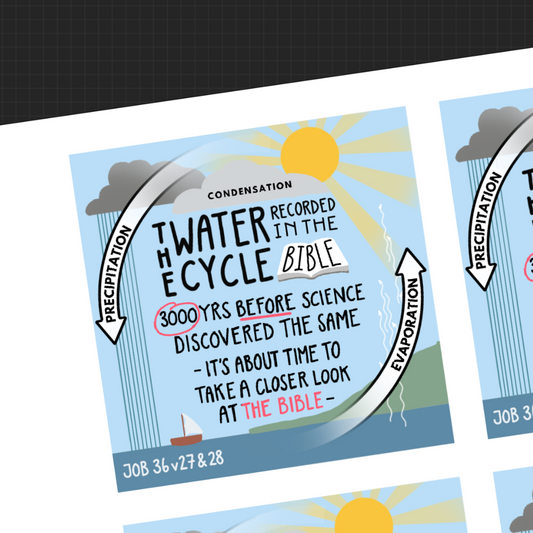 The Water Cycle